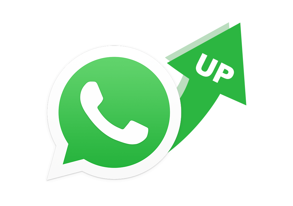 Business WhatsApp API Tempalte message